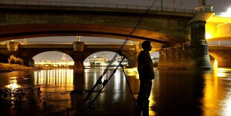 Diverse - img38724395037161.jpeg